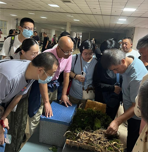 陈军力全国名老中医药专家传承工作室