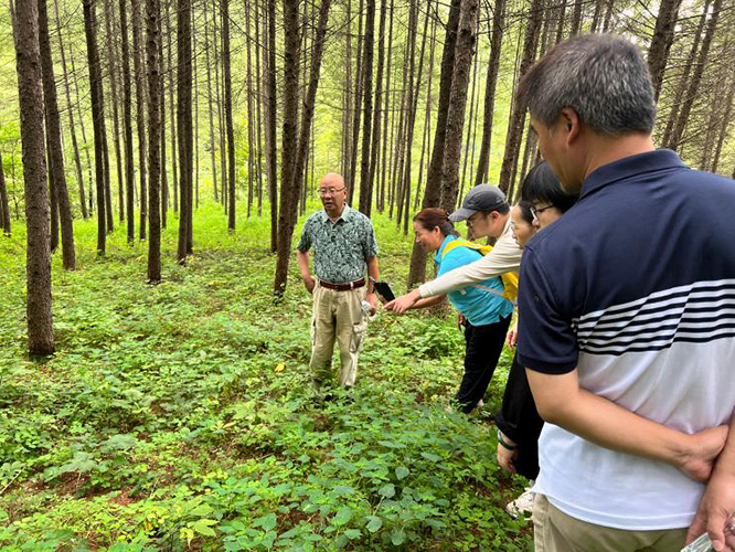 陈军力全国名老中医药专家传承工作室