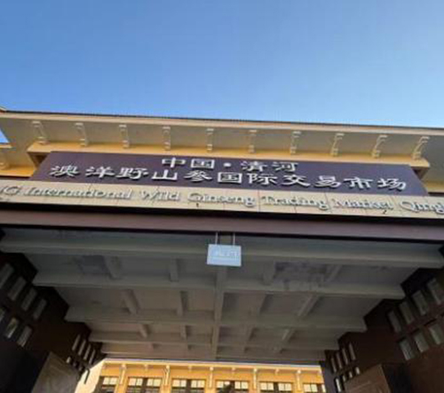 清河澳洋野山参交易市场