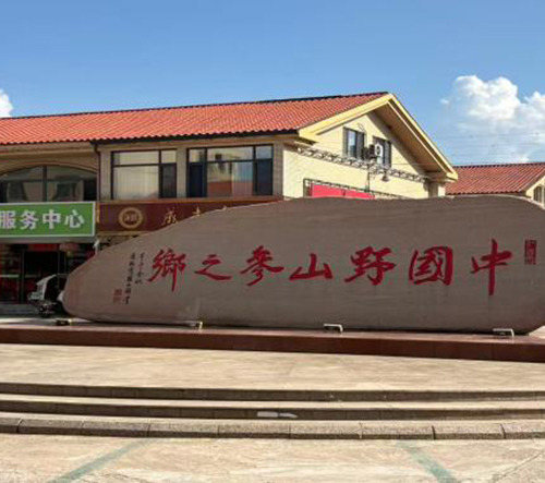 桓仁人参市场