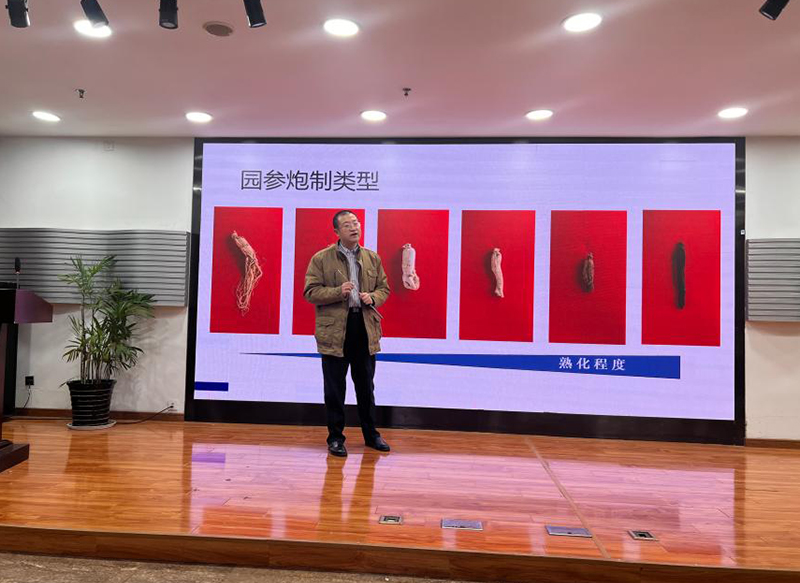 工作室积极参与上海第十一届野山参文化节
