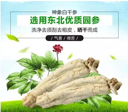 夏天进补能吃人参吗