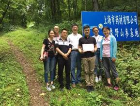 新鲜野山参怎么吃