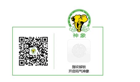 如何挑选和鉴别野山参