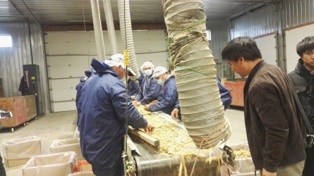上药神象与西洋参不得不说的故事