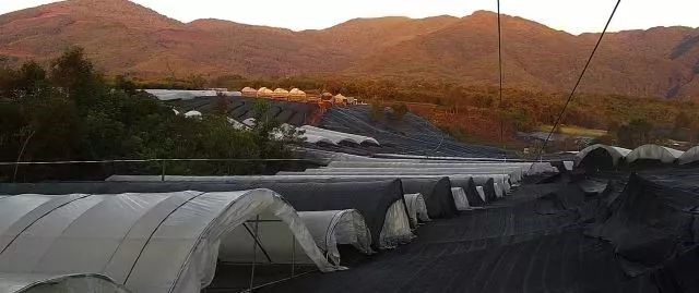 除了“千里眼”你们还知道“顺风耳”和“呼风唤雨”吗