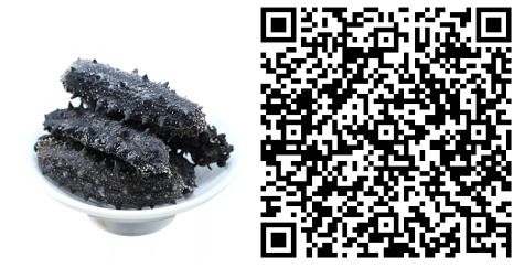 第四届上海野山参文化节