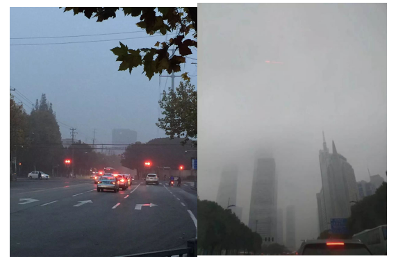 突然起来的雾霾，当机立断吃鲜石斛