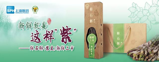 突然起来的雾霾，当机立断吃鲜石斛